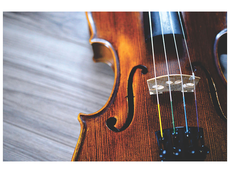 canvas-print-close-up-violin-ii