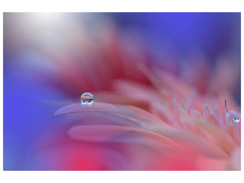 canvas-print-colorful-explosion