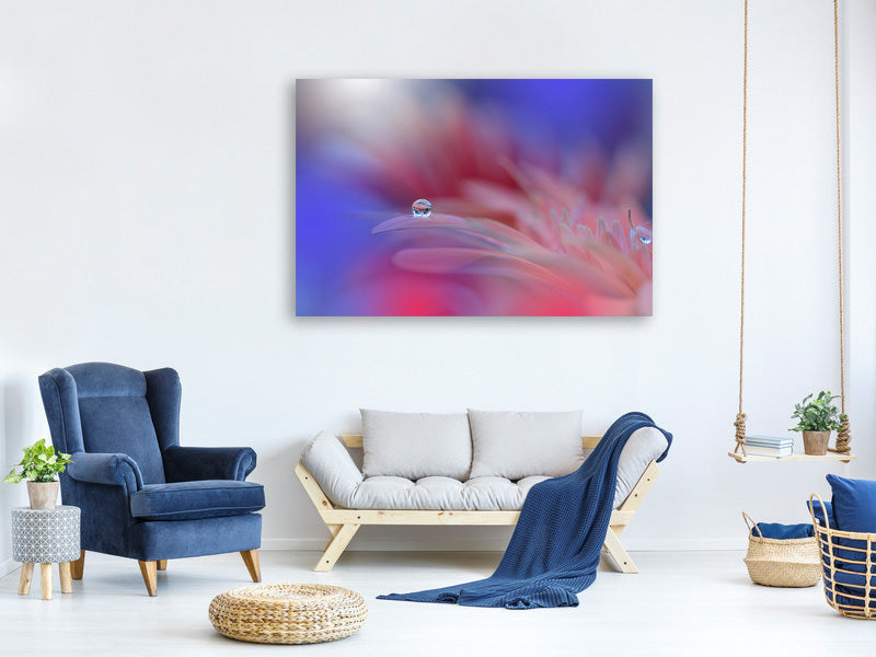 canvas-print-colorful-explosion