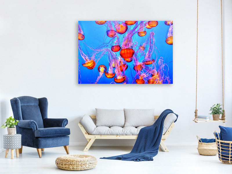 canvas-print-colorful-jellyfish