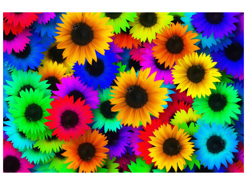canvas-print-colorful-sunflowers