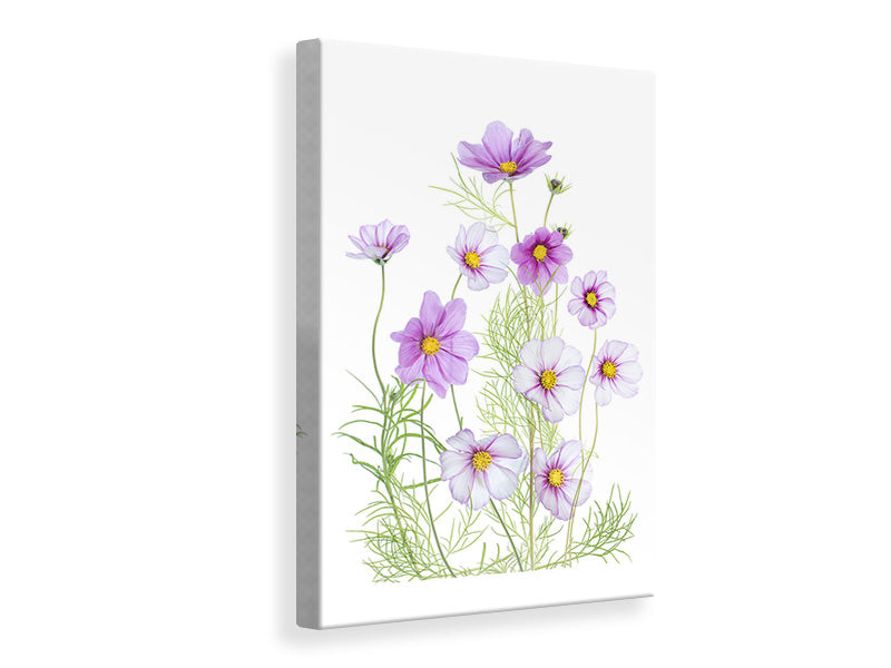 canvas-print-cosmos-comfort