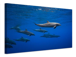 canvas-print-dolphins-x