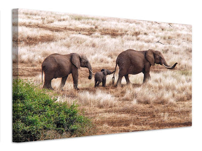 canvas-print-elephant-family-tanzania-x