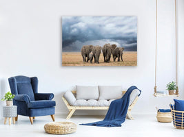 canvas-print-elephant-walk-x