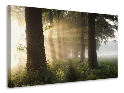 canvas-print-first-day-of-summer