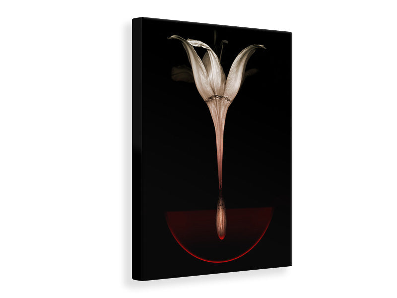 canvas-print-floating-lily