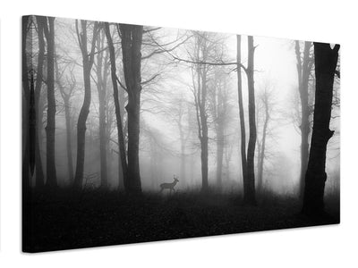 canvas-print-forest-xue