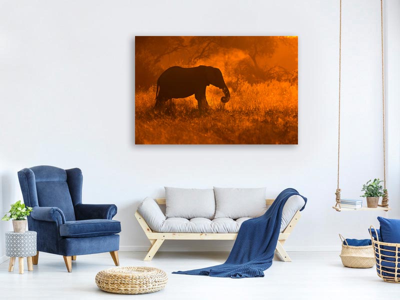 canvas-print-golden-elephant-in-savute-x