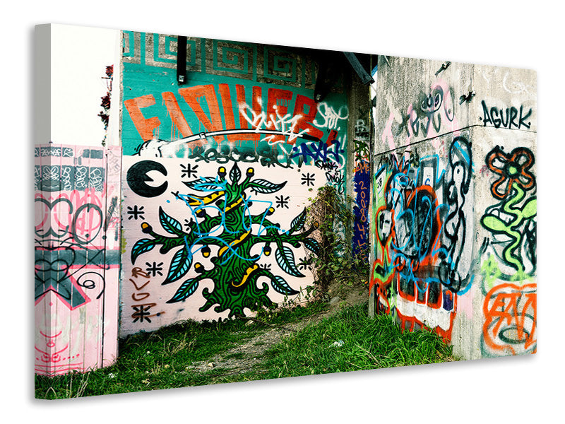 canvas-print-graffiti-in-the-backyard