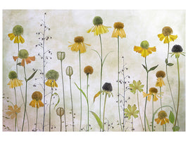 canvas-print-helenium