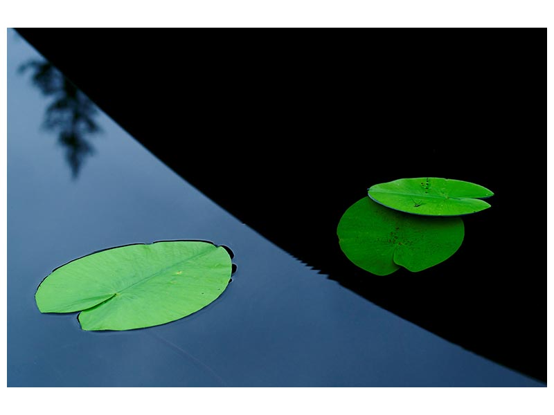 canvas-print-in-the-shade-off-a-boat-x