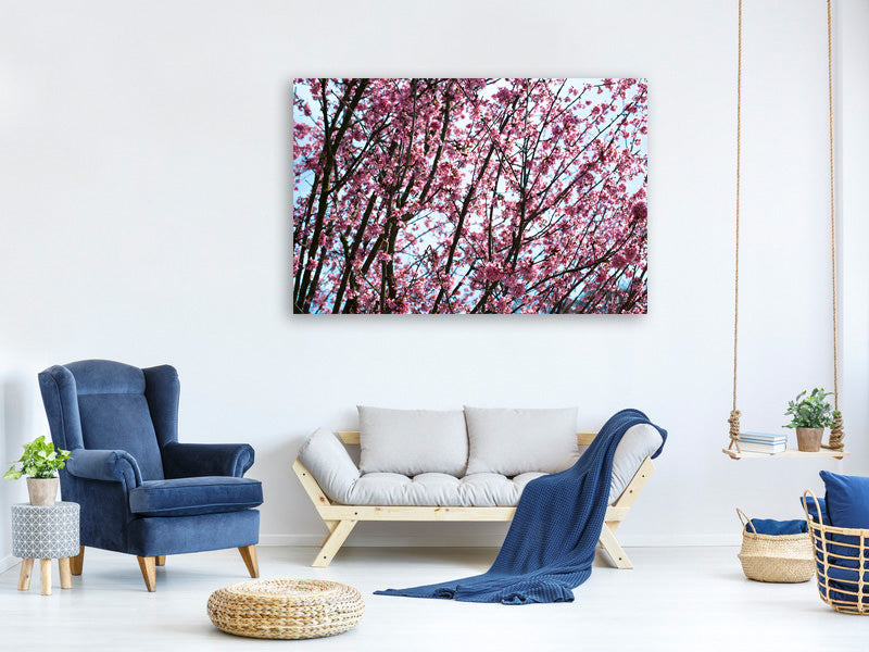 canvas-print-japanese-cherry-blossom