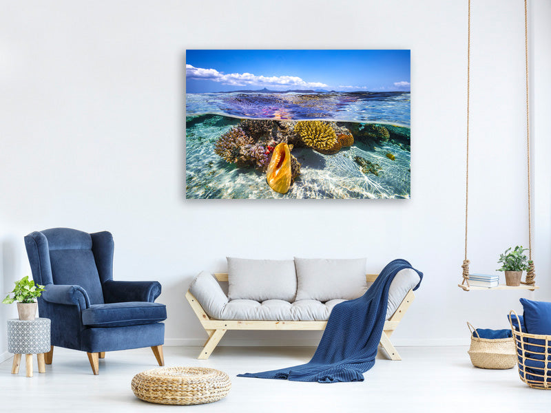 canvas-print-lagoon-life