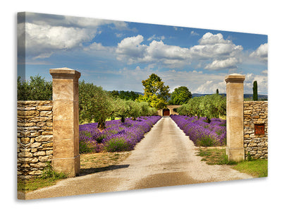 canvas-print-lavender-garden