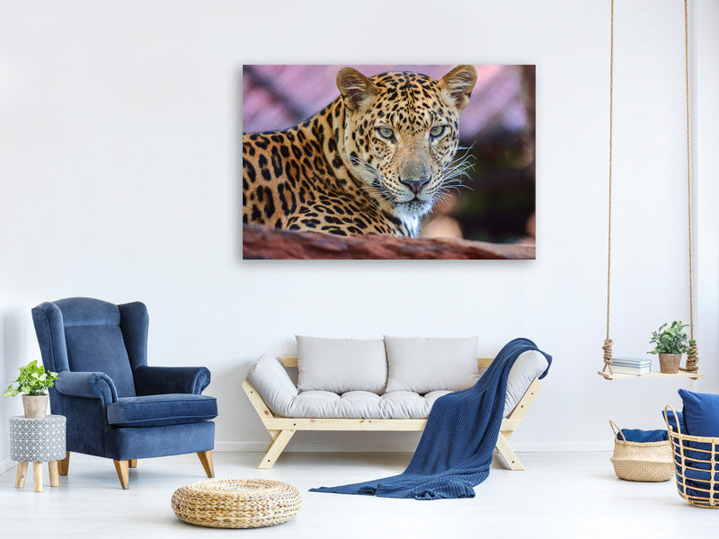canvas-print-leopard