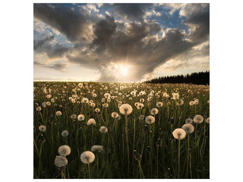 canvas-print-lightbulbs