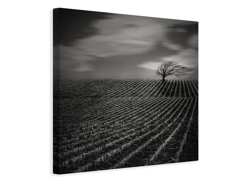 canvas-print-loneliness-x