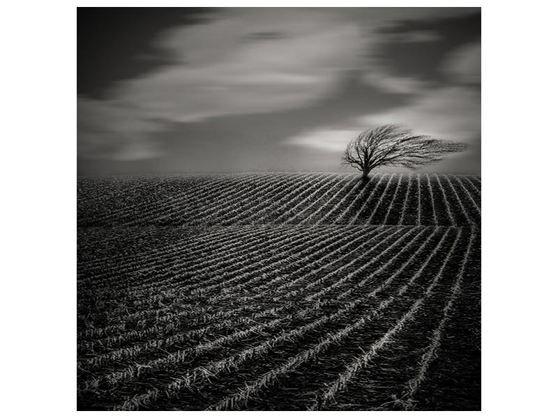 canvas-print-loneliness-x