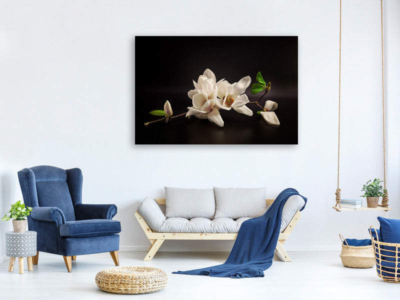 canvas-print-magnolia