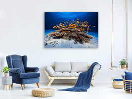 canvas-print-marine-life