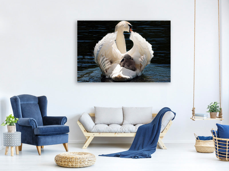 canvas-print-mom-and-baby-swan