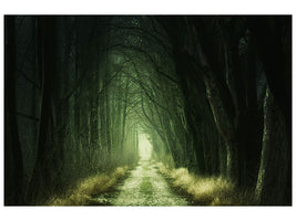 canvas-print-mysterious-forest-iii