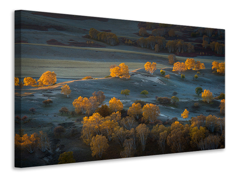 canvas-print-prairie-light