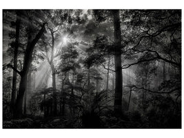 canvas-print-primary-forest
