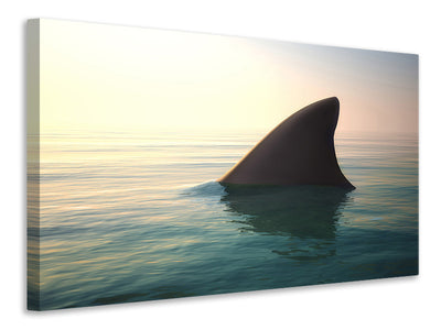canvas-print-shark-fin