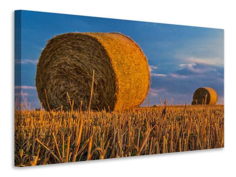 canvas-print-straw-bales