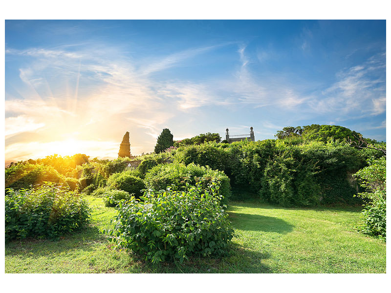 canvas-print-sunrise-in-the-park