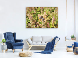 canvas-print-the-blue