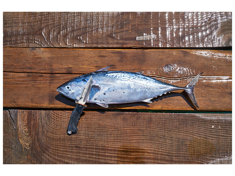 canvas-print-the-fresh-fish