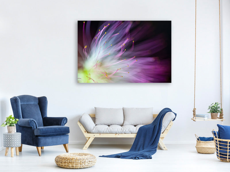 canvas-print-the-will-o-the-wisp