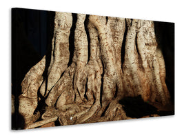 canvas-print-tree-close-up