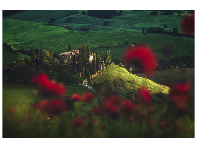 canvas-print-tuscany-spring-blossoms