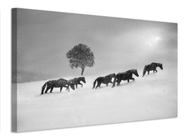 canvas-print-untitled-xnw