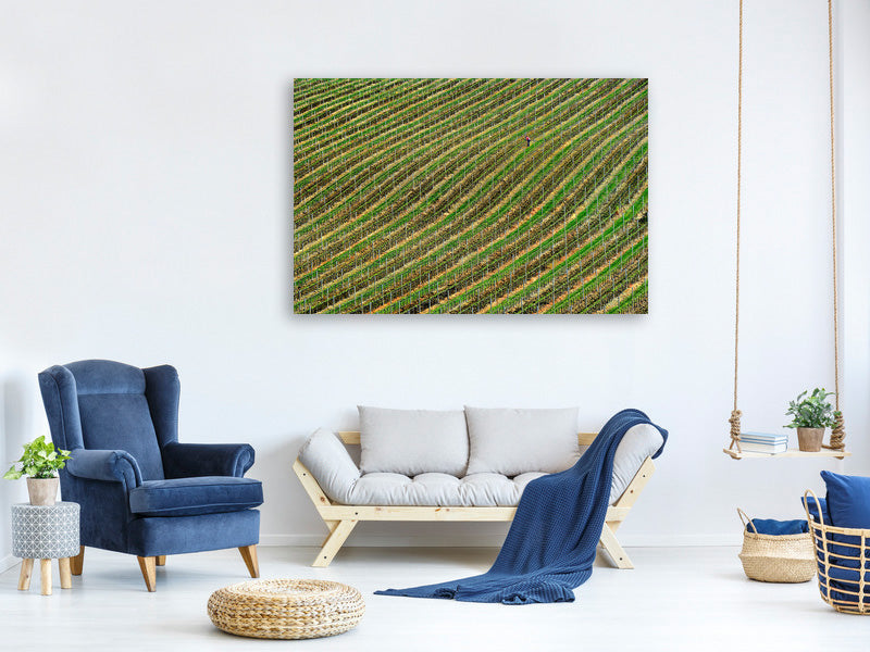 canvas-print-vineyard