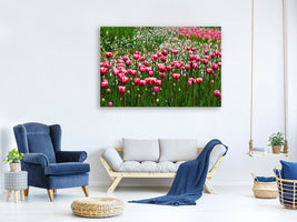 canvas-print-wild-tulip-field