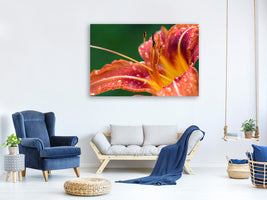 canvas-print-xxl-lily-in-orange