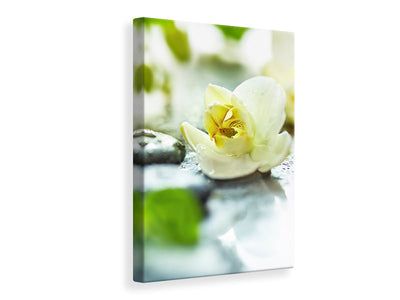 canvas-print-zen-orchid