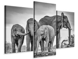 modern-3-piece-canvas-print-a-giant-unity