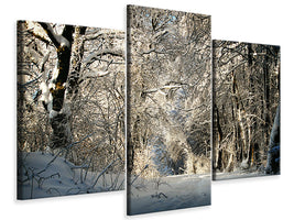 modern-3-piece-canvas-print-a-winter-dream