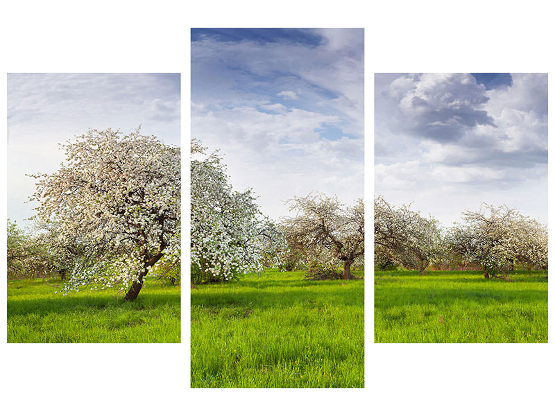 modern-3-piece-canvas-print-apple-tree-garden