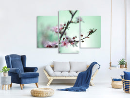 modern-3-piece-canvas-print-beautiful-japanese-cherry-blossom
