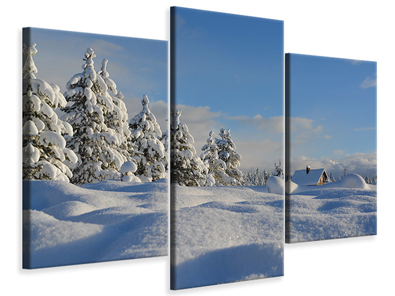 modern-3-piece-canvas-print-beautiful-snow-landscape