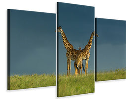 modern-3-piece-canvas-print-between-the-two