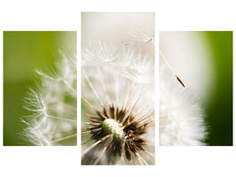 modern-3-piece-canvas-print-blowball-dandelion