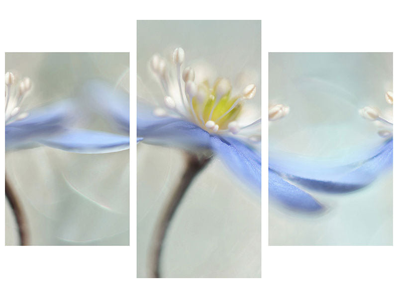 modern-3-piece-canvas-print-dancing-anemones